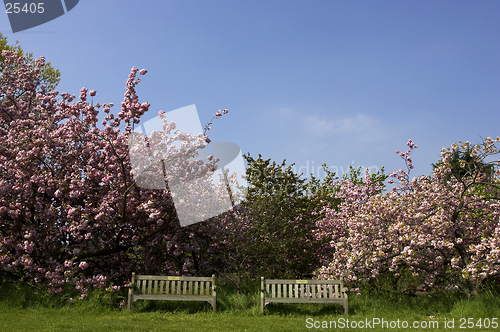 Image of Two empty park benches