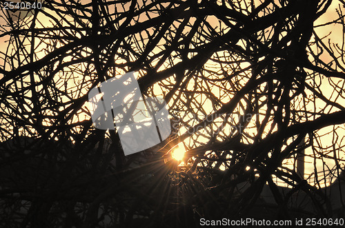 Image of sun reflection over city rooftops