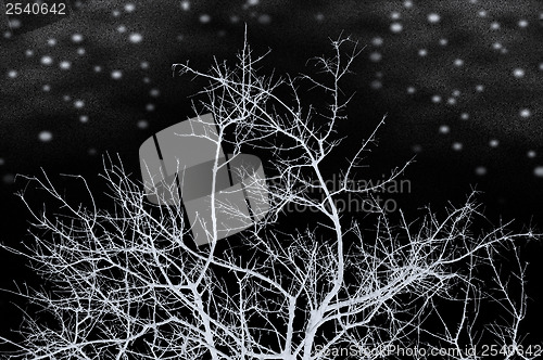 Image of winter night