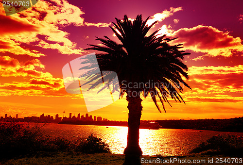 Image of Silhouette of Sydney, Australia