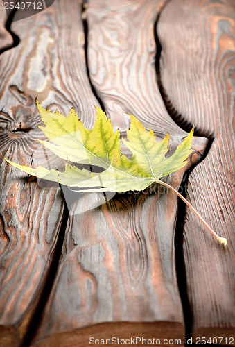 Image of Autumn leaf on a wooden table