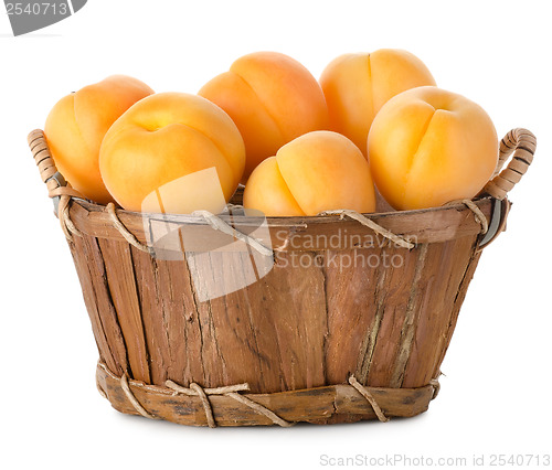 Image of Raw apricots in a basket