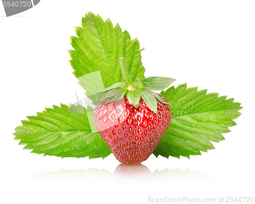 Image of Ripe strawberries with leaves isolated