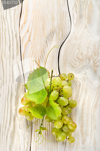 Image of Green grapes on the table