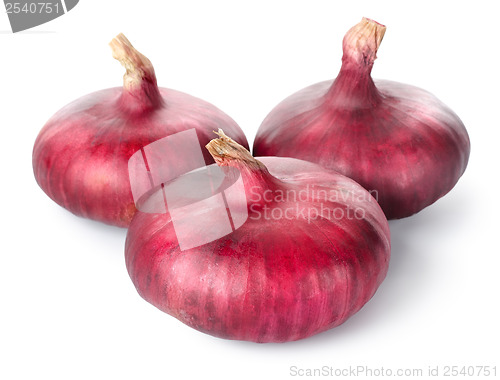 Image of Three red onions