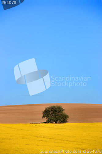 Image of Beautiful rural fields landscape