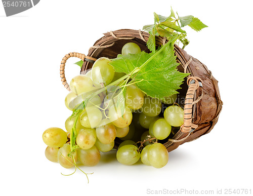 Image of Grapes in a wooden basket