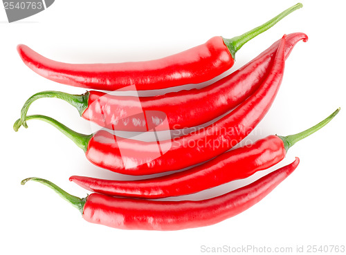 Image of Hot chili peppers isolated