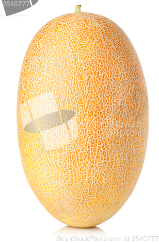 Image of Cantaloupe