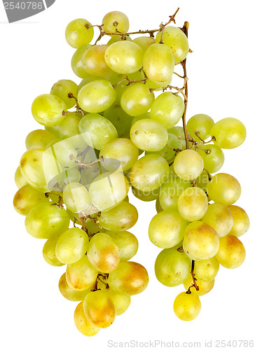 Image of Bunch of green grapes