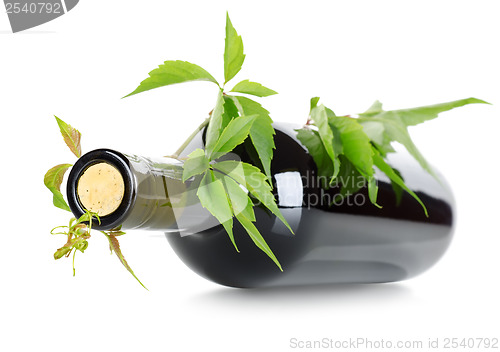 Image of Wine and vine