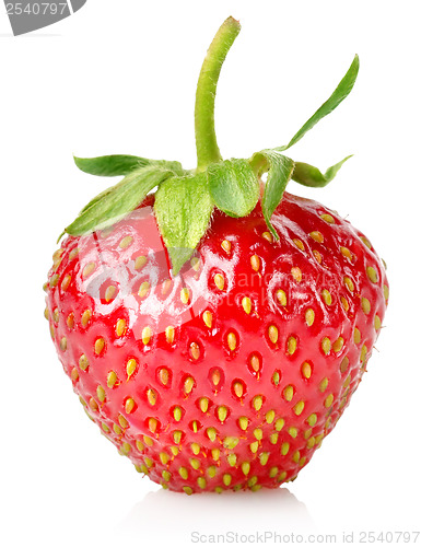Image of Ripe strawberries