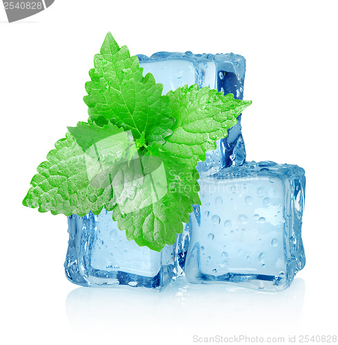 Image of Three ice cubes and mint