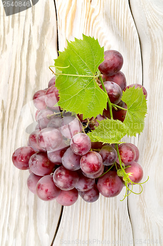 Image of Blue grapes on the table