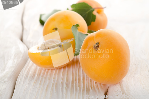 Image of Apricots on a white table