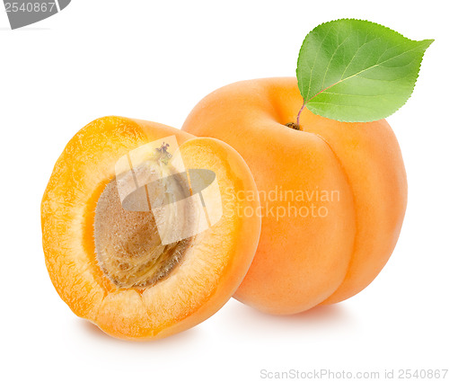 Image of Apricots with leaf