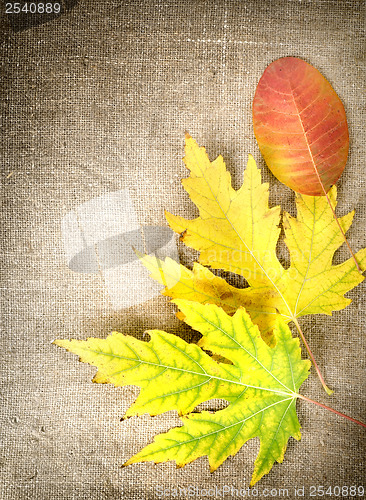 Image of Autumn decoration on a canvas