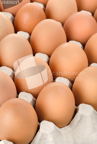 Image of Eggs in cardboard tray