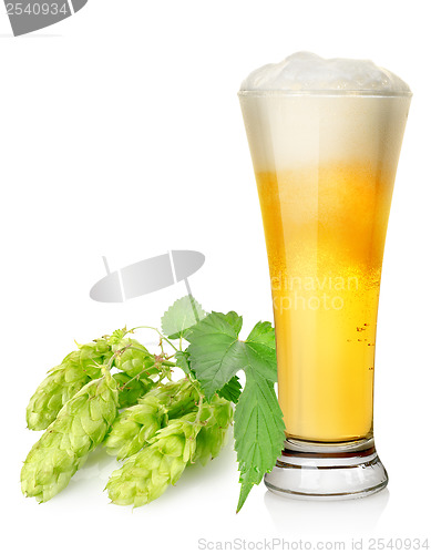 Image of Light beer and hop