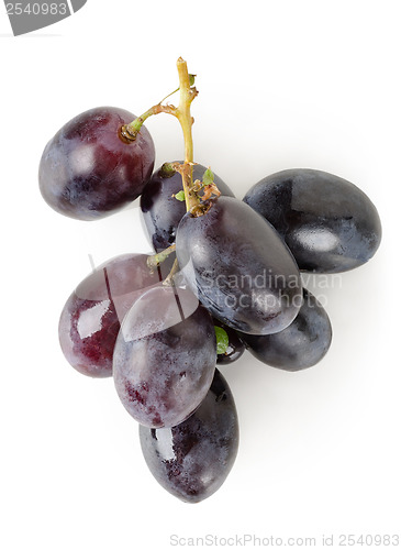 Image of Dark blue grapes