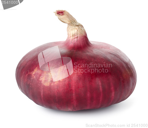 Image of Red onion