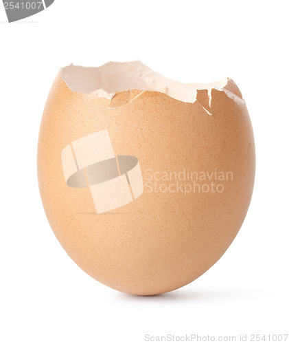 Image of Empty egg