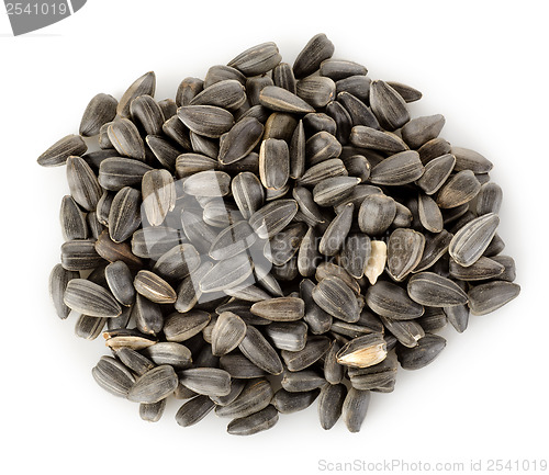 Image of Sunflower seeds isolated