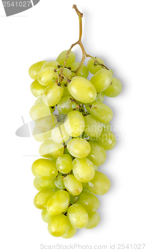 Image of Bunch of green grapes isolated