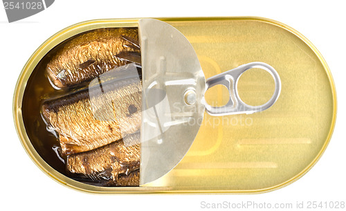 Image of Sprats