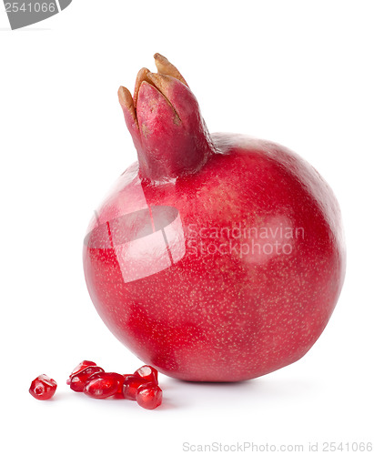 Image of Pomegranate and seeds