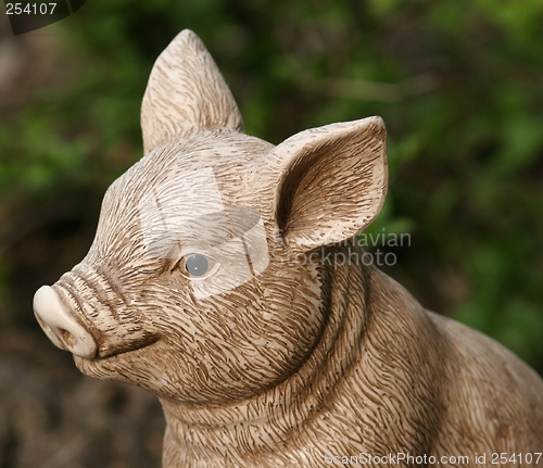 Image of Garden Pig Tight Shot