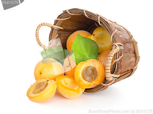 Image of Apricots in a basket