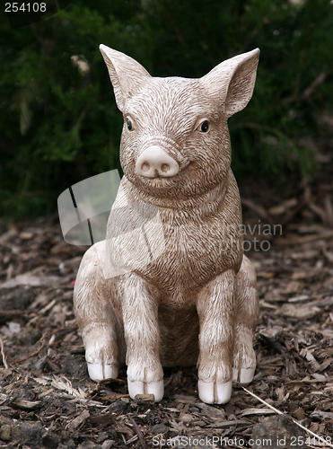 Image of Garden Pig