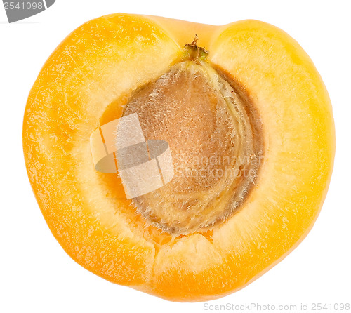Image of Apricot sectioned by knife