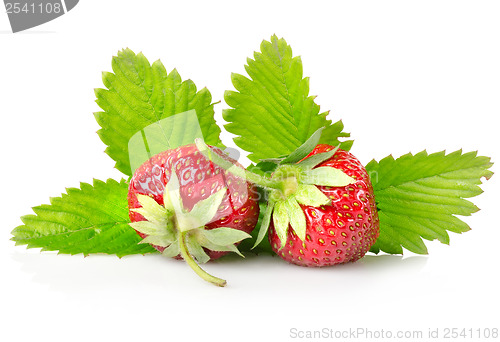 Image of Ripe strawberries with leaves