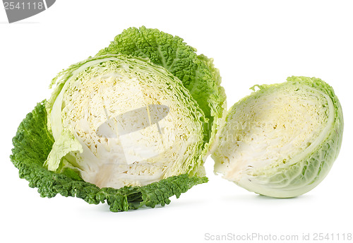 Image of Savoy cabbage is in a cut