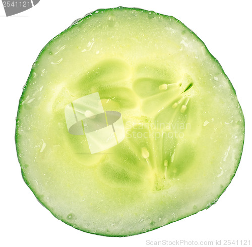 Image of Cucumber circle portion