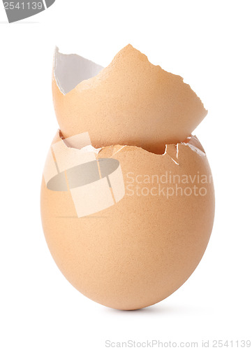 Image of Empty eggs