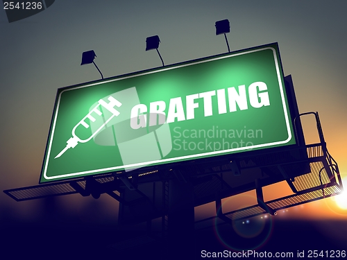 Image of Grafting - Billboard on the Sunrise Background.