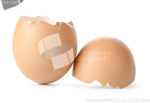 Image of Empty brown egg shell