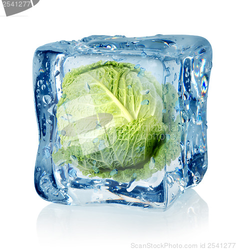 Image of Ice cube and savoy cabbage