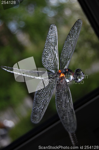 Image of Dragonfly