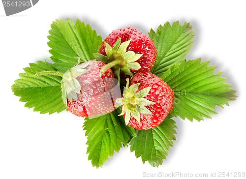 Image of Heap strawberry isolated