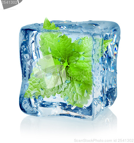 Image of Ice cube and mint