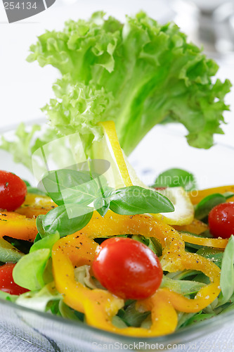 Image of Healthy salad