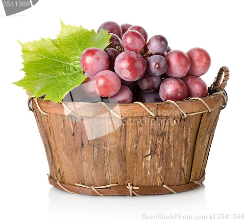 Image of Blue grape with leaf