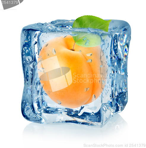 Image of Ice cube and apricot isolated