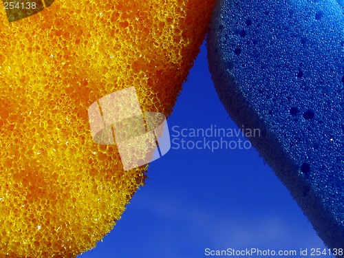 Image of ''Sponge 1''