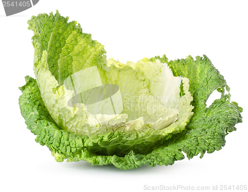 Image of Cabbage leaves