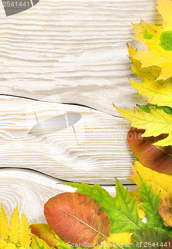 Image of Autumn compositio on a white table